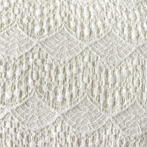 Scalloped Lace-Cream